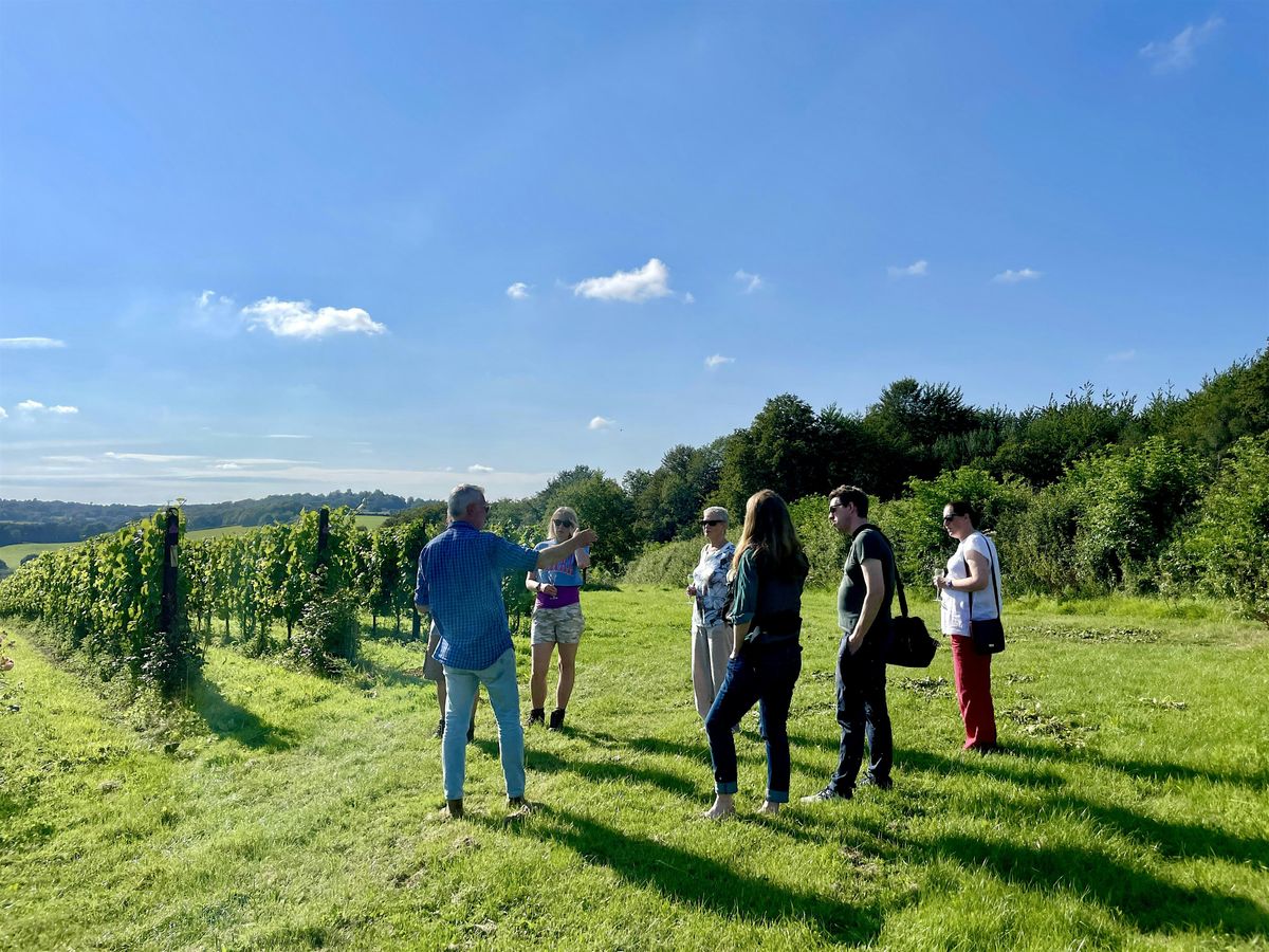 Busi Jacobsohn Wine Tasting & Vineyard Walk, Busi Jacobsohn Wine Estate ...