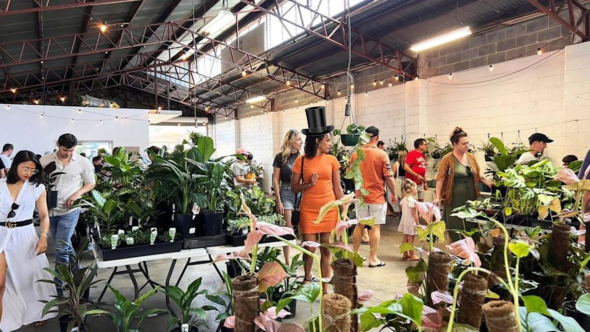 Perth Indoor Plant Warehouse Sale Mad Hatters, The Jungle Collective