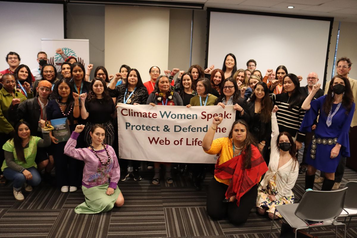 Women Ending the Era of Fossil Fuels and Leading a Just Transition, The ...