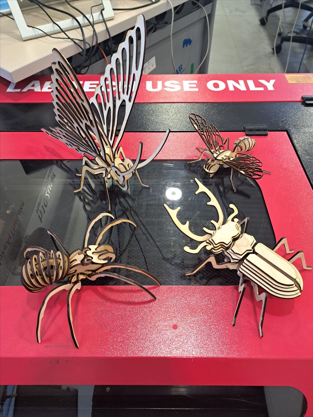 Bug Beating Machine Lab BUGGIN in the Fab Lab Summer Camp- BUG LAB, science 3D laser cutting ...
