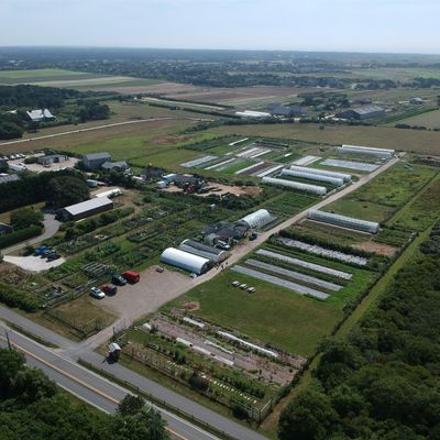 Sustainable Nantucket logo