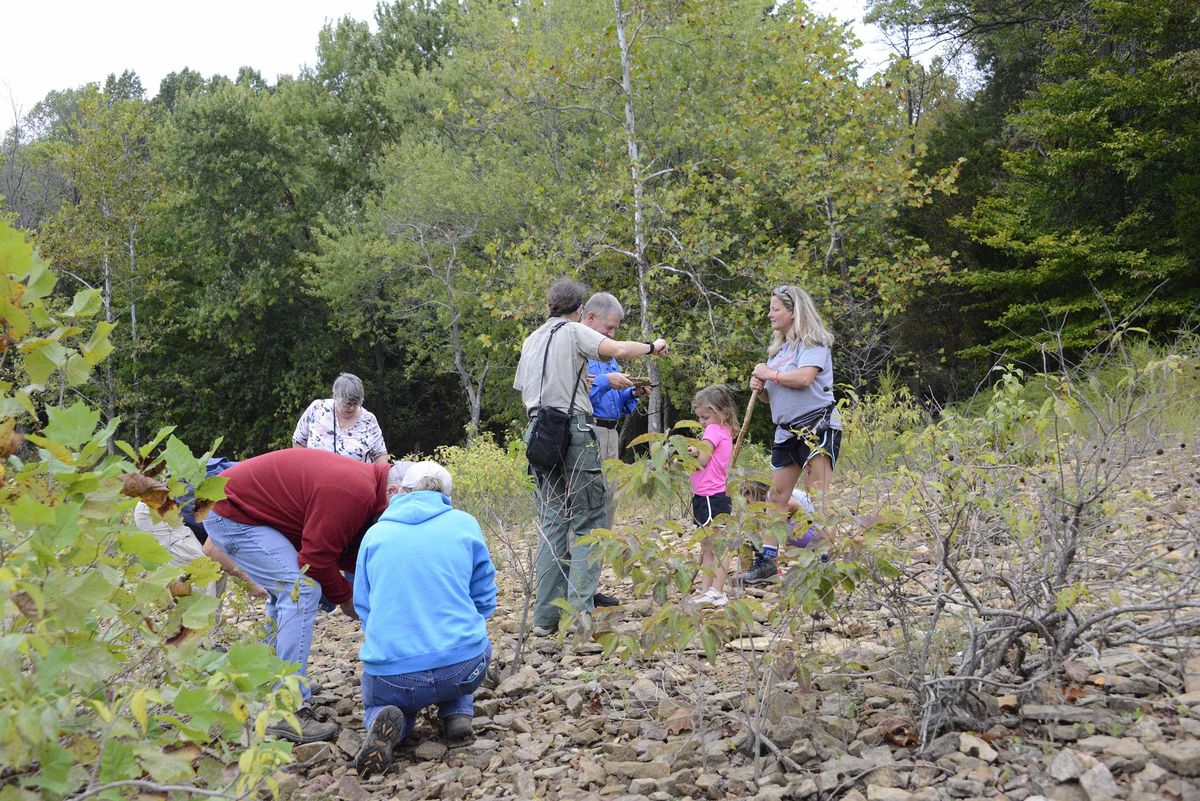 Crinoid Fossil Bed Hike, Allens Creek State Recreation Area