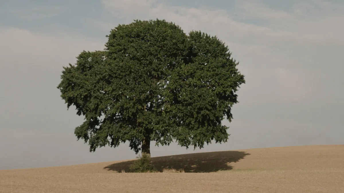 Guldimund, The Savage Rose, August Høyen in, 22 August | Event in Aabenraa | AllEvents