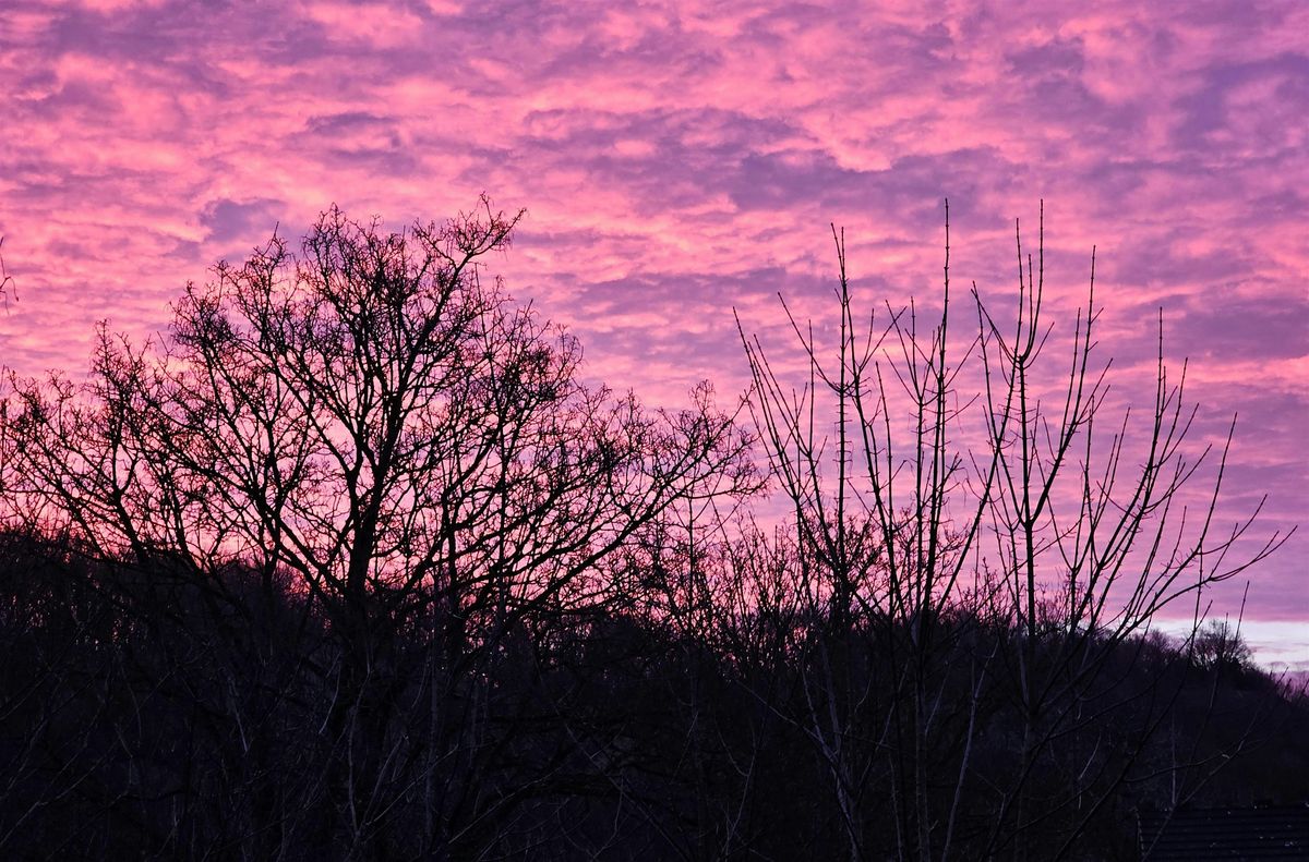 Spring Dawn Chorus Bird Walk, Coop Food St Annes Wyatts View, St