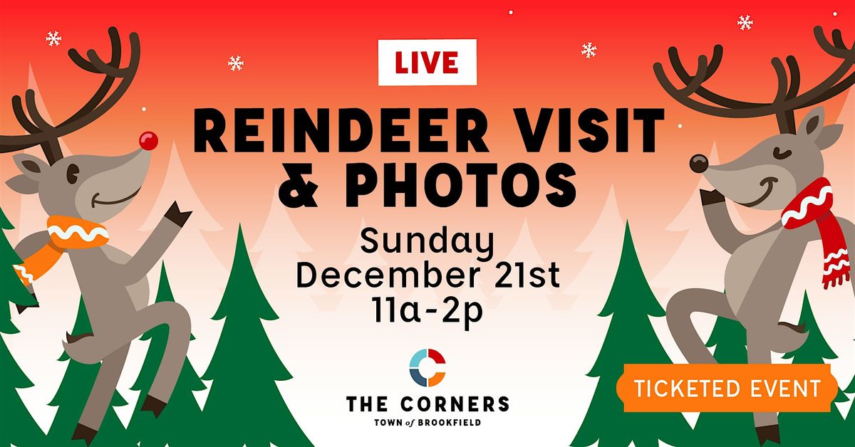 Reindeer Visit & Photo at The Corners of Brookfield, 21 December | Event in Brookfield | AllEvents