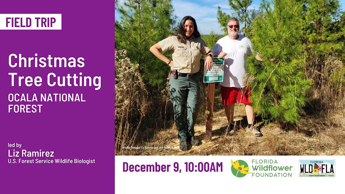 Christmas Tree Cutting in the Ocala National Forest 2023, Ocala