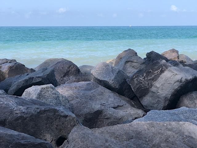 Guided Meditation and Book Study | Event in Venice | AllEvents