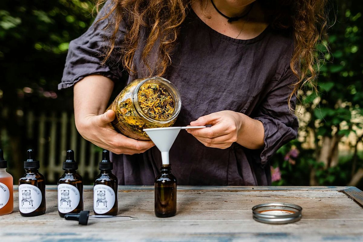 Foraging & Herbalism Class | Event in Townsend | AllEvents