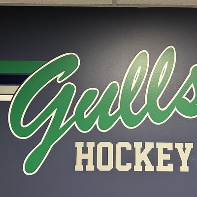 Endicott College Mens Ice Hockey vs UMass Boston, Raymond J. Bourque