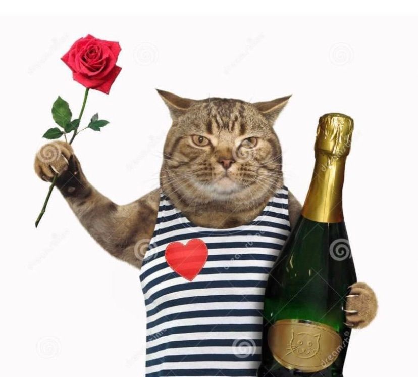 Galentine’s Day at Purr Haus!, Purr Haus, 27 S. 7th St., Emmaus