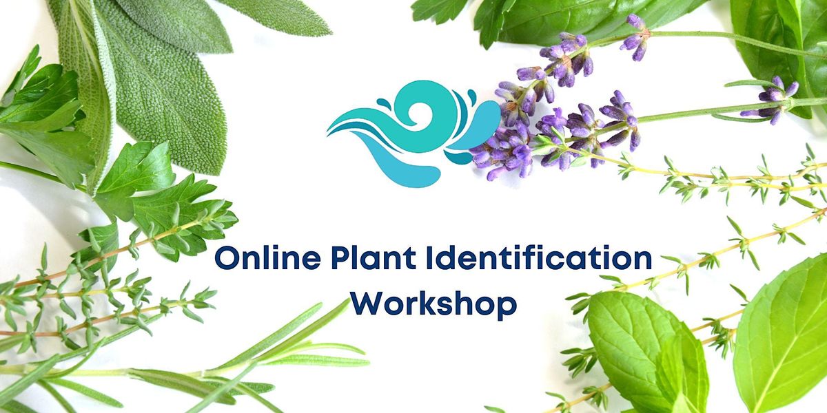 Online Plant Identification November 22 2023 Online Event Online Plant Identification November 22 2023 Online Event