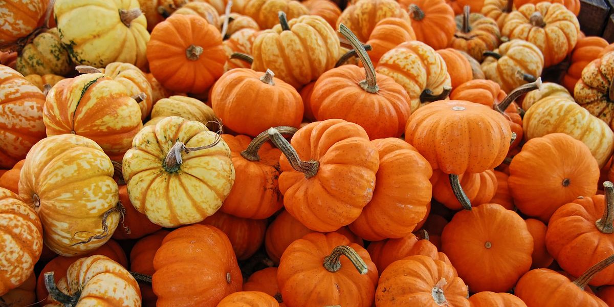 Tots Tuesday: Fall Pumpkin Party, Dairy Market Charlottesville, 17 ...