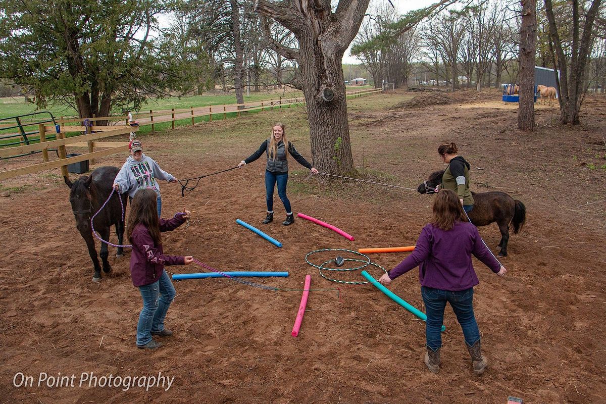 Friday fun day with horses 1884 mahogany st mora 18 august 2023