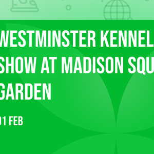 Westminster Kennel Club Dog Show at Madison Square Garden