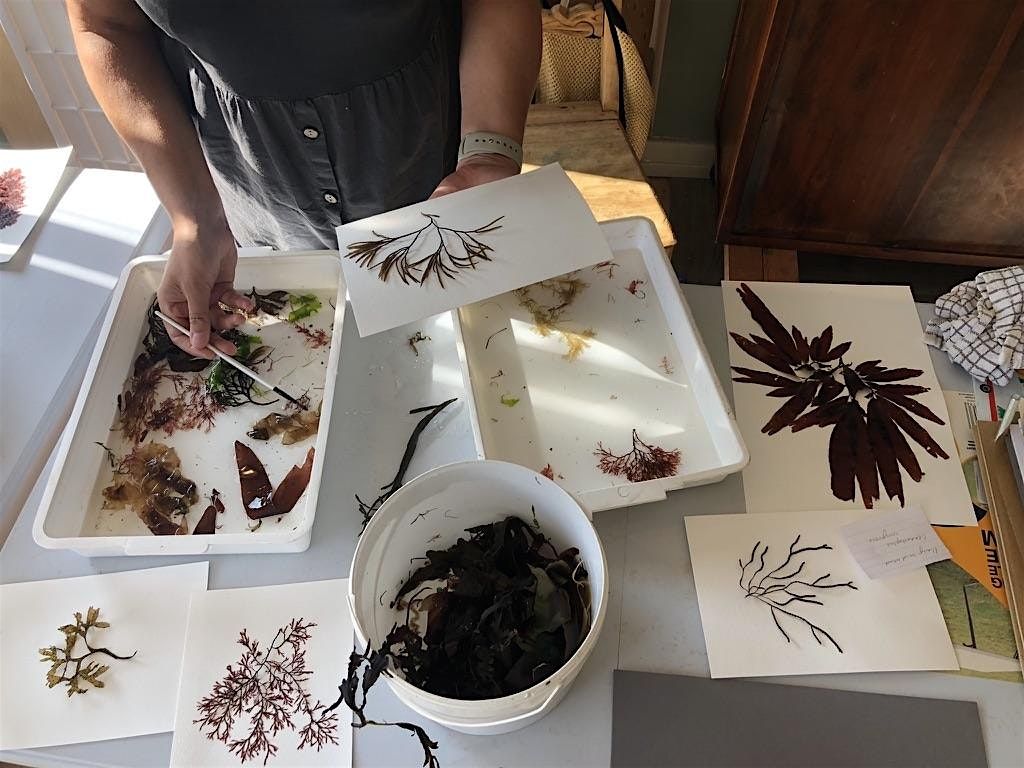 Seaweed Pressing Workshop | Event in Whitley Bay | AllEvents