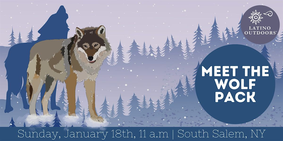 LO Connecticut | Meet the Wolf Pack