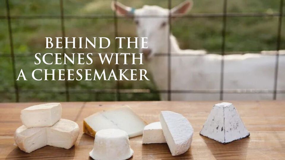 Behind the Scenes with a Cheesemaker, Baetje Farms, Bloomsdale, February 21 2023 AllEvents.in