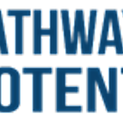 MDHHS Pathways to Potential Wayne County