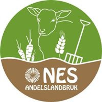 Nes andelsgård
