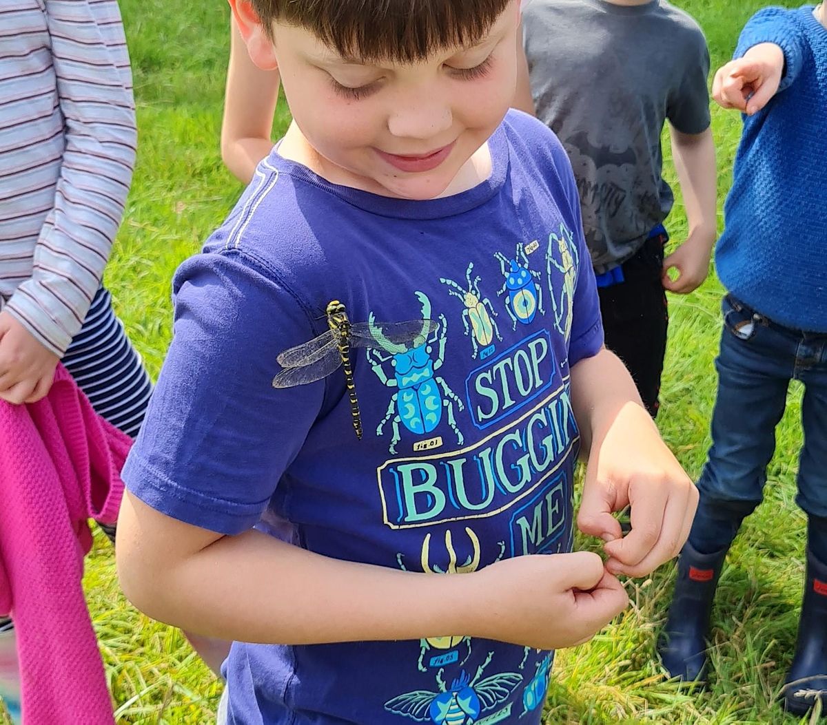 Family NatureActivity sessions at Hazeland, SN11 9LJ, Bremhill, Near Calne, September 3 2023
