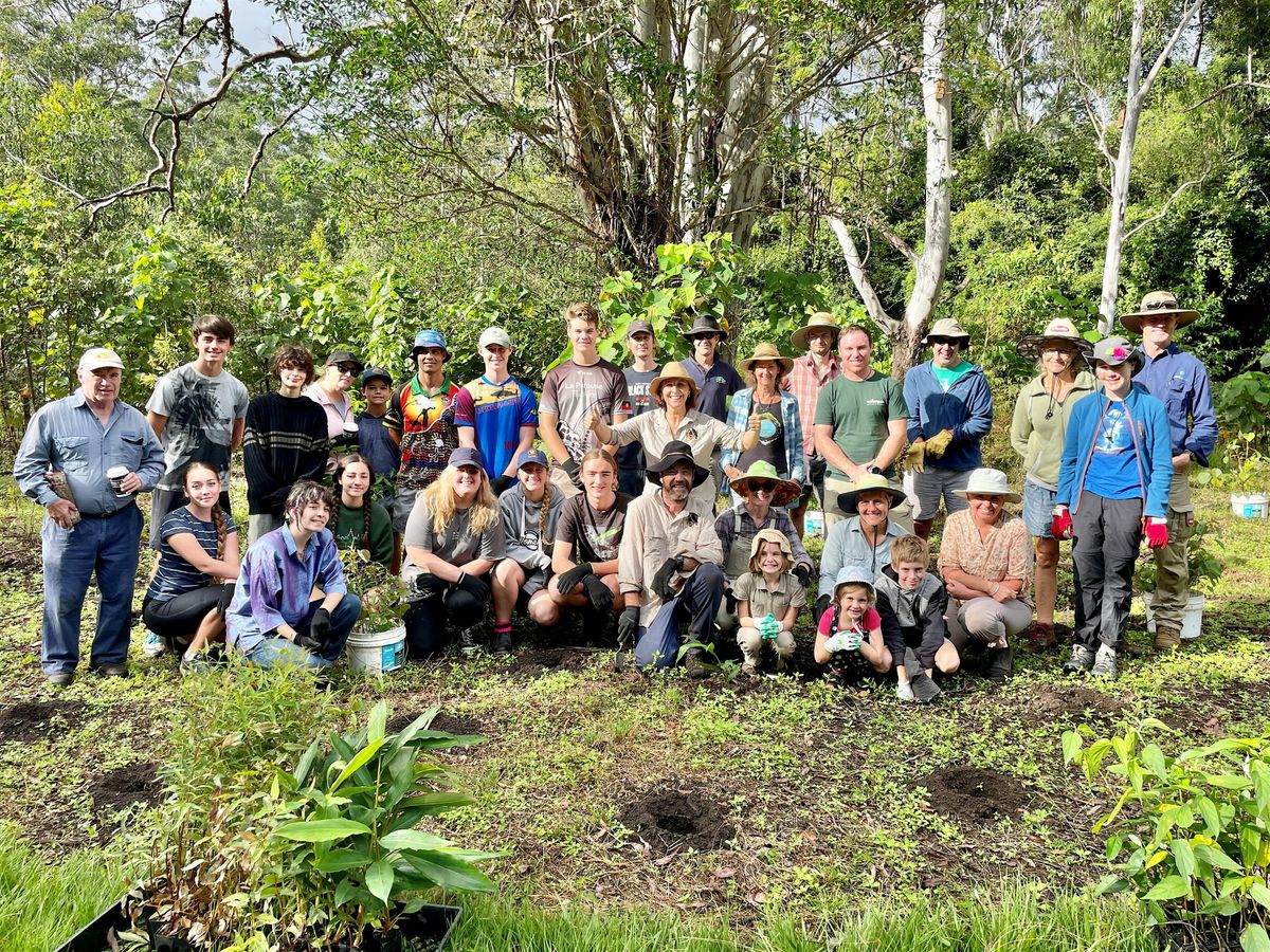 Holding Tight - Linking Springbrook and Lamington National Park, Gold ...
