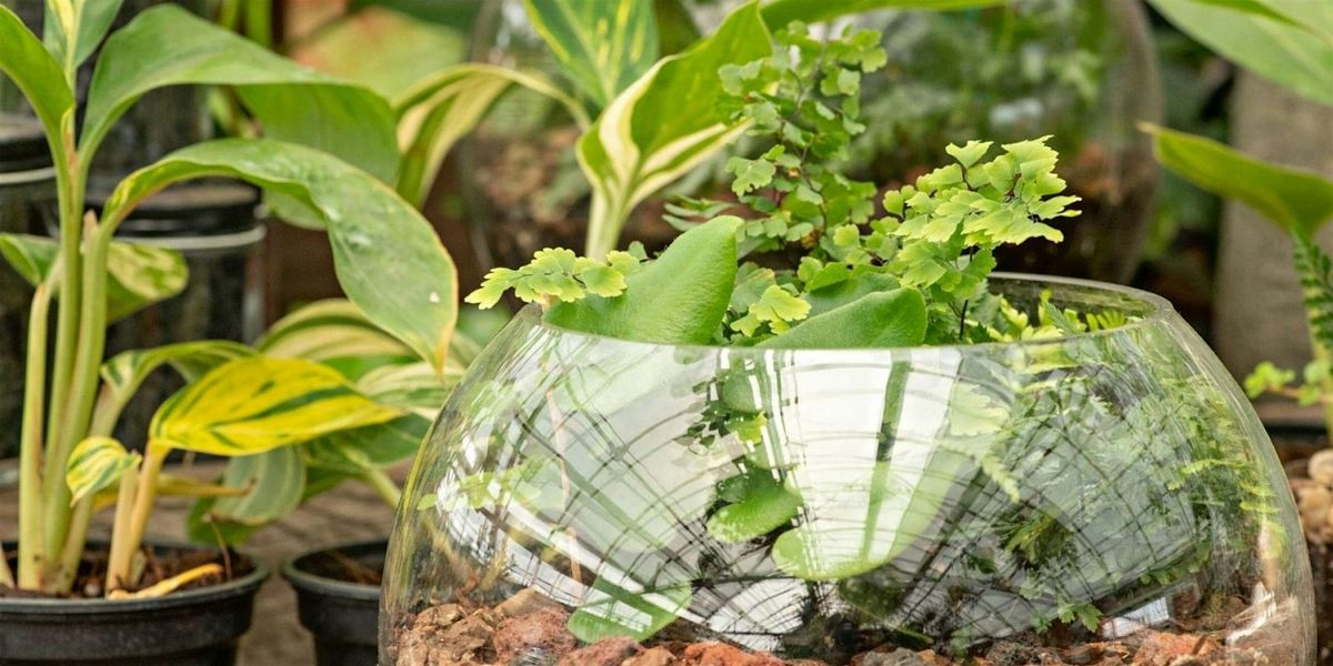 DIY Tropical Terrarium, 7 February | Event in Glenside | AllEvents