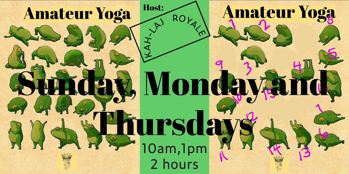 Amateur Yoga, Del Oro Park, Clearwater, November 9 2023 AllEvents.in