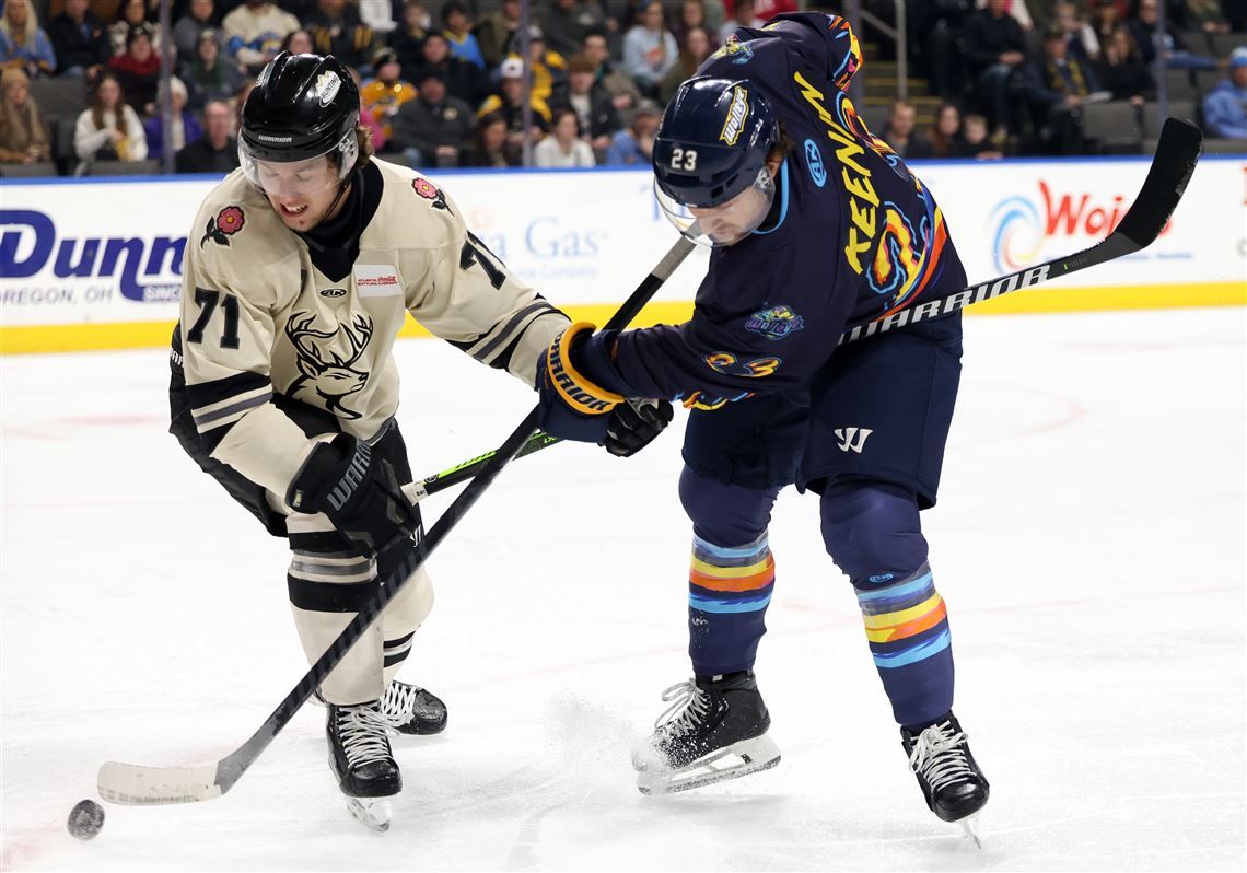 Toledo Walleye vs. Iowa Heartlanders, 8 January | Event in Toledo | AllEvents