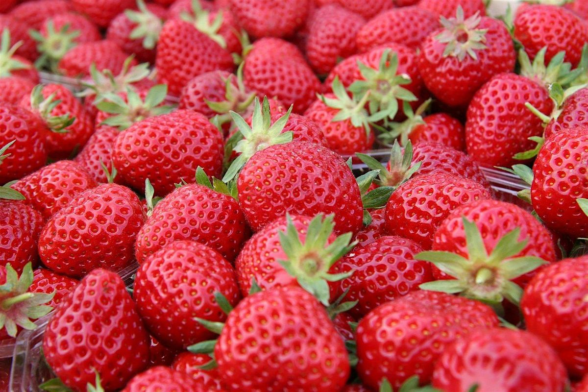 Strawberry Jamboree, Brookford Farm, Canterbury, 29 June to 30 June