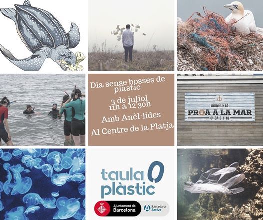 Download Esnorquel Per A Joves A Barcelona At El Centre De La Platja Grup D Free Wallpaper Esnorquel Per A Joves A Barcelona At El Centre De La Platja Grup D For Android