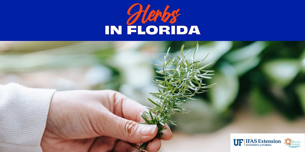 Herbs in Florida, UF/IFAS Manatee County Extension Office, Palmetto