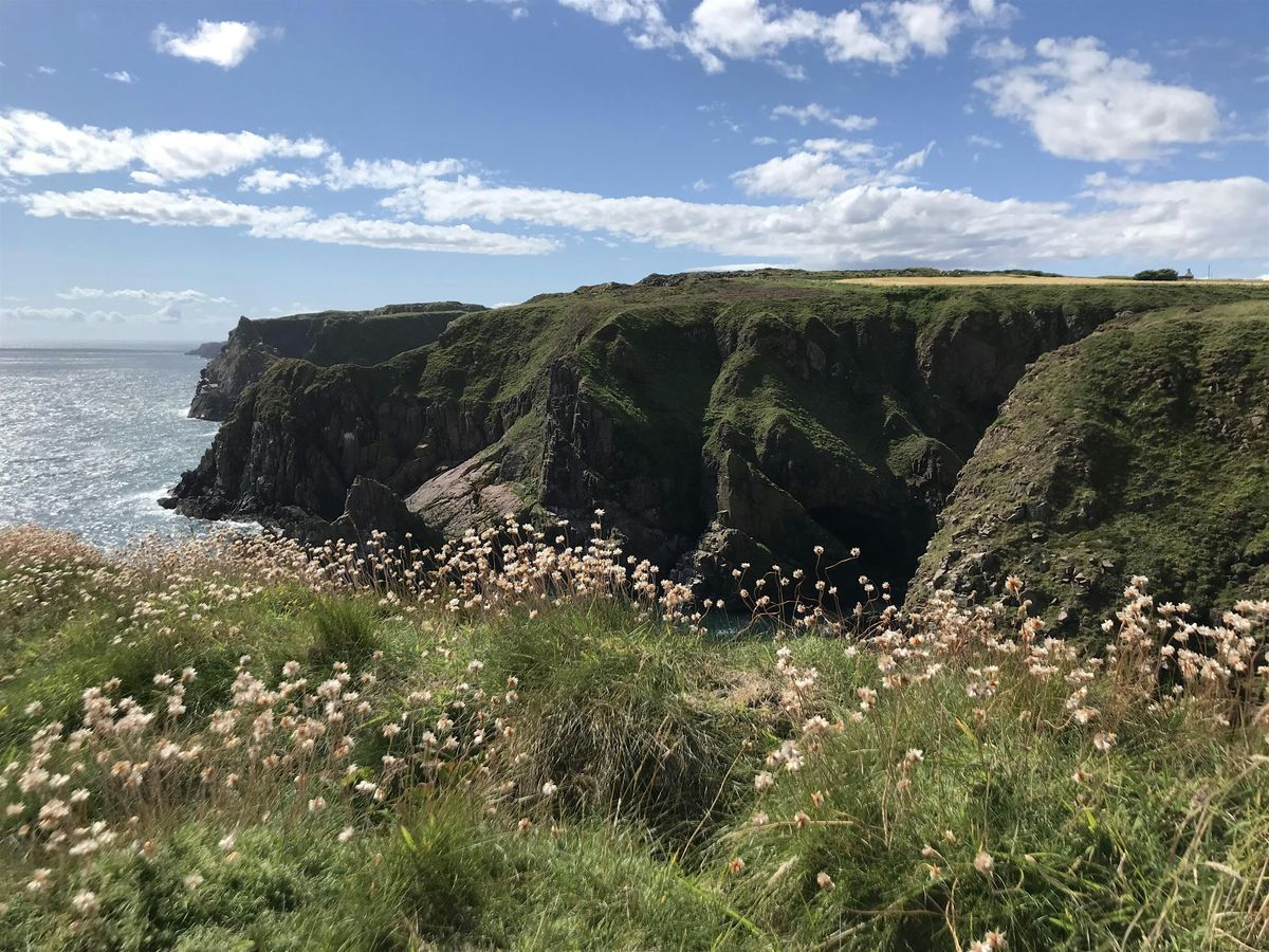 Longhaven - a summers walk, Longhaven Cliffs Wildlife Reserve (off the ...