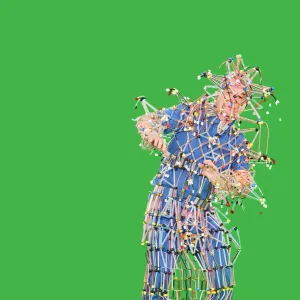 David Byrne in 서울특별시