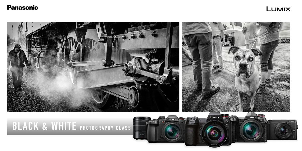 Black and White From Film to Digital LIVE w/Lumix, Kenmore Camera, 8