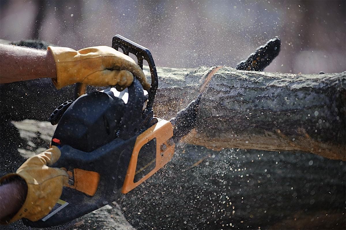Chainsaw Safety Training, Option 2, July 17, 18, 19, 2023, Town of