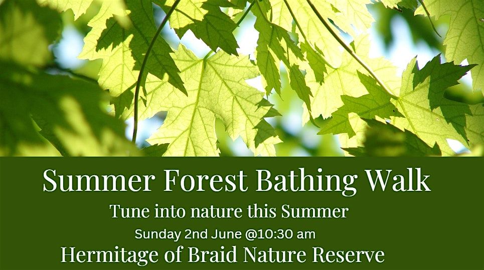 Summer Forest Bathing Walk- Hermitage of Braid Nature Reserve, Edinburgh, Hermitage Drive ...