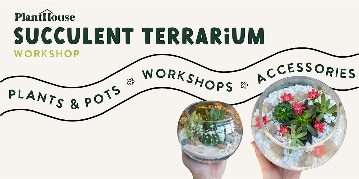 Succulent Terrarium Workshop | Event in Charlotte | AllEvents