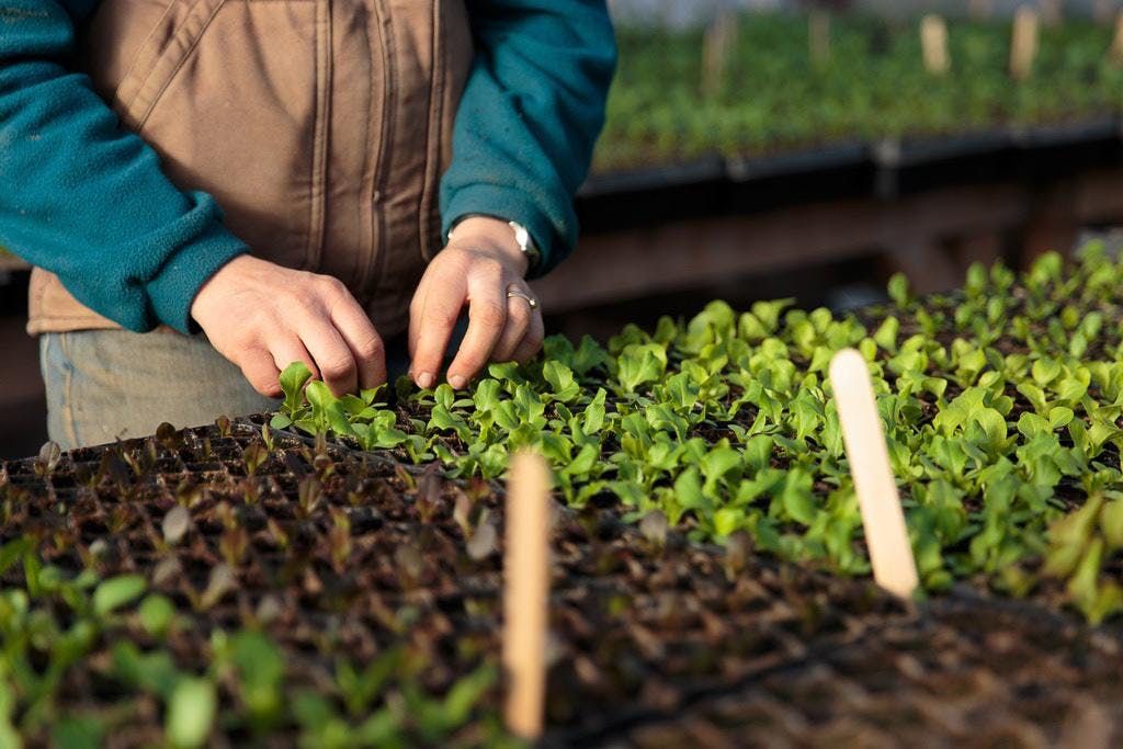 NxLevel Business Planning for Maine Farmers, Maine ...