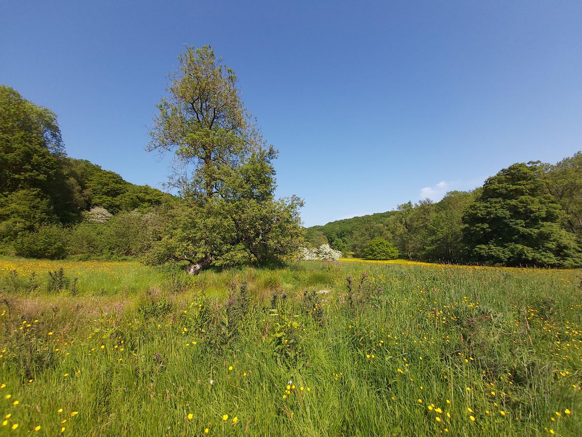 Talk The Mowley Project, De Koffie Pot at the Left Bank, Hereford, 3