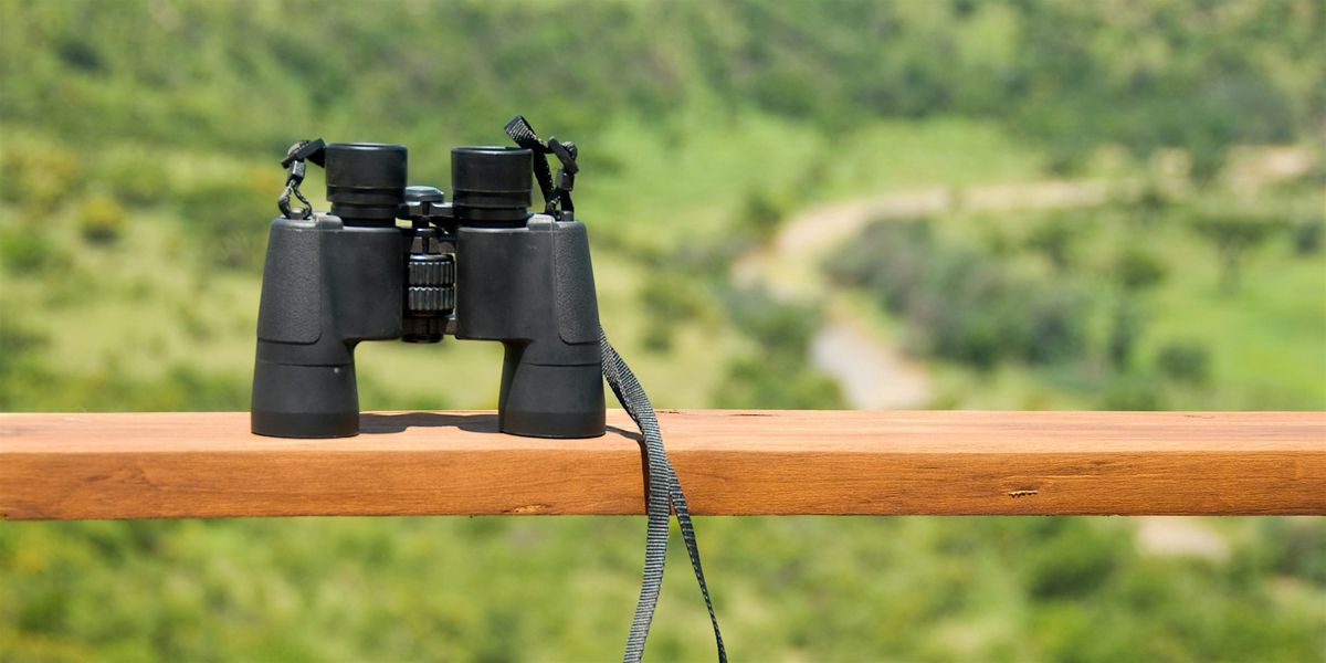 Winter Bird Walk (Adults and Teens, Ages 12+) | Event in Wantagh | AllEvents