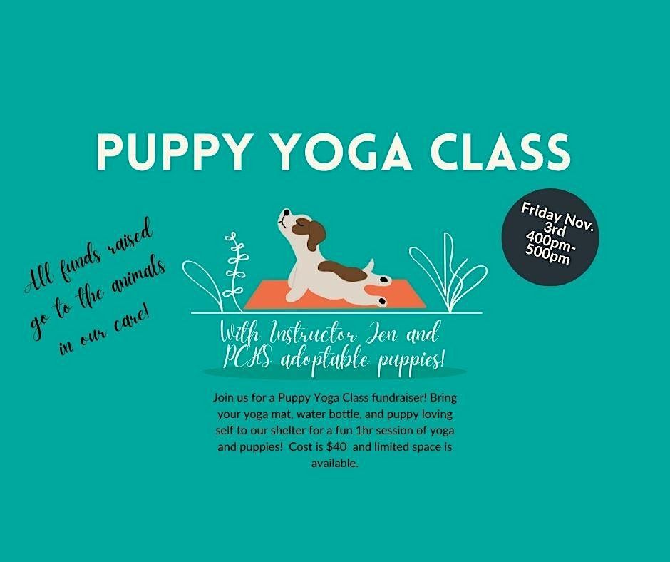 Puppy Yoga w/ Zumbro Valley Endodontics, Paws and Claws Humane Society