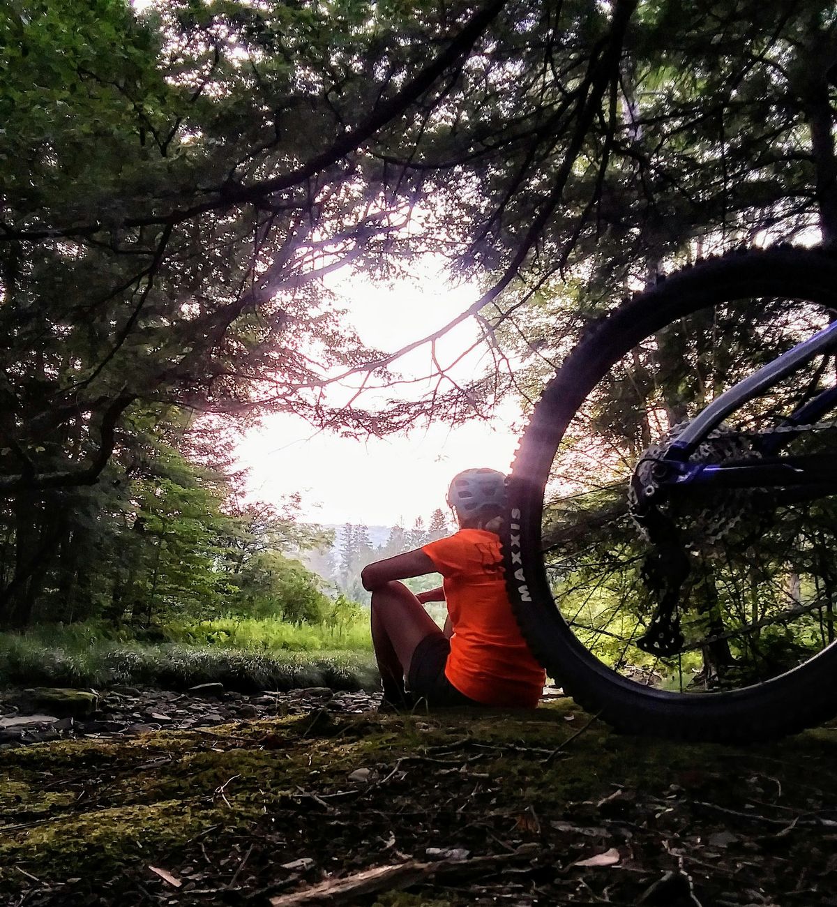 Nature Rides with Adele, Loud Performance, Bemus Point, 13 July 2024 ...