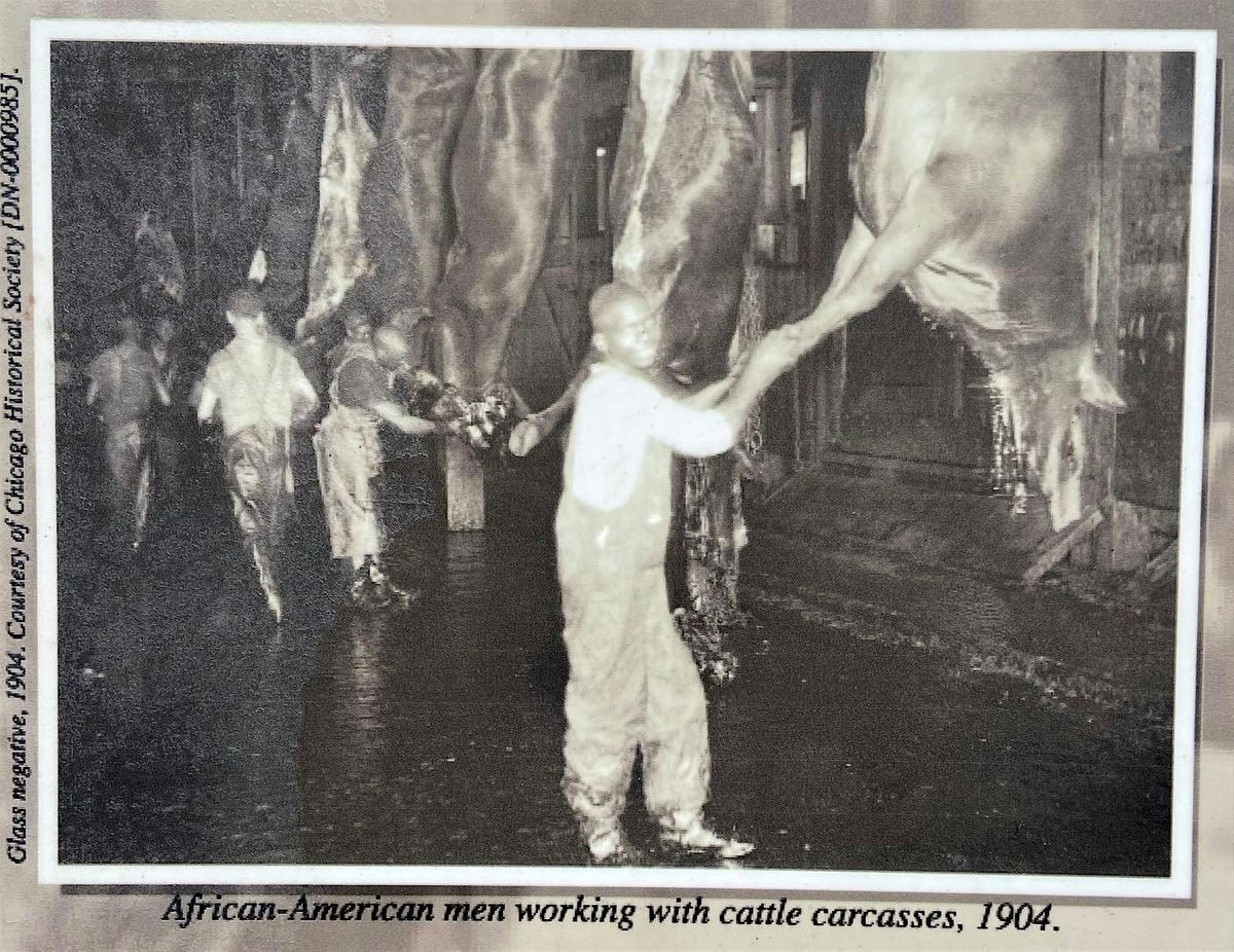 "From the Rooter to the Tooter!", Illinois Institute of Technology