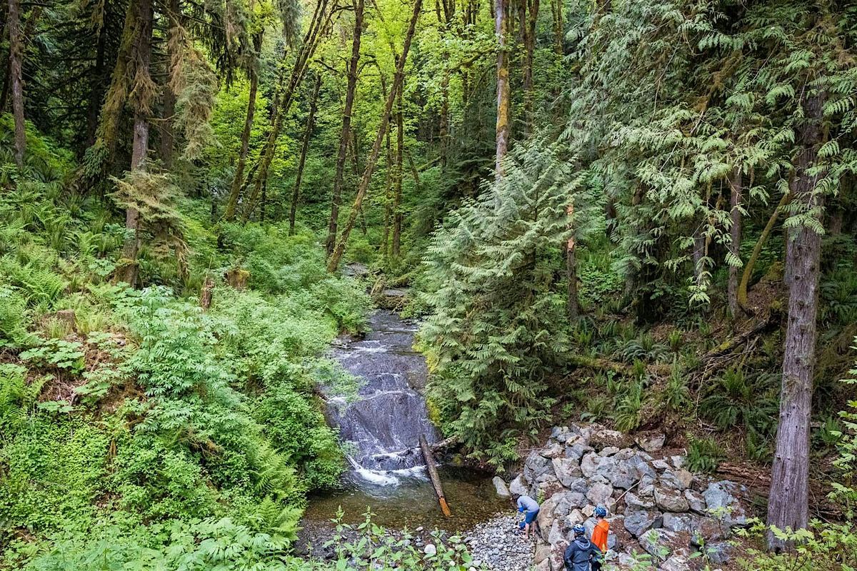 VIBC Weekender to Cowichan River, Horseshoe Bend Group Campsite, Lake