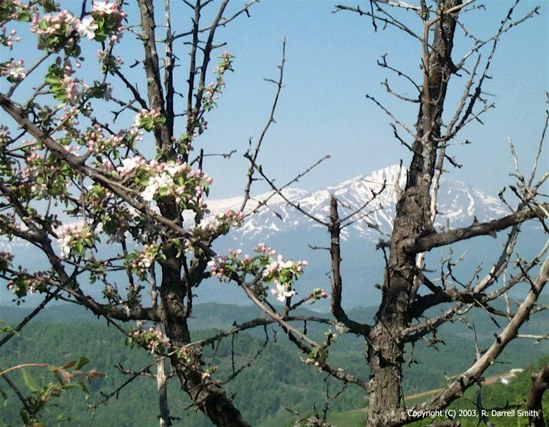 Creation Through Gods Eyes, Trinity Baptist Church, Honey Creek Road