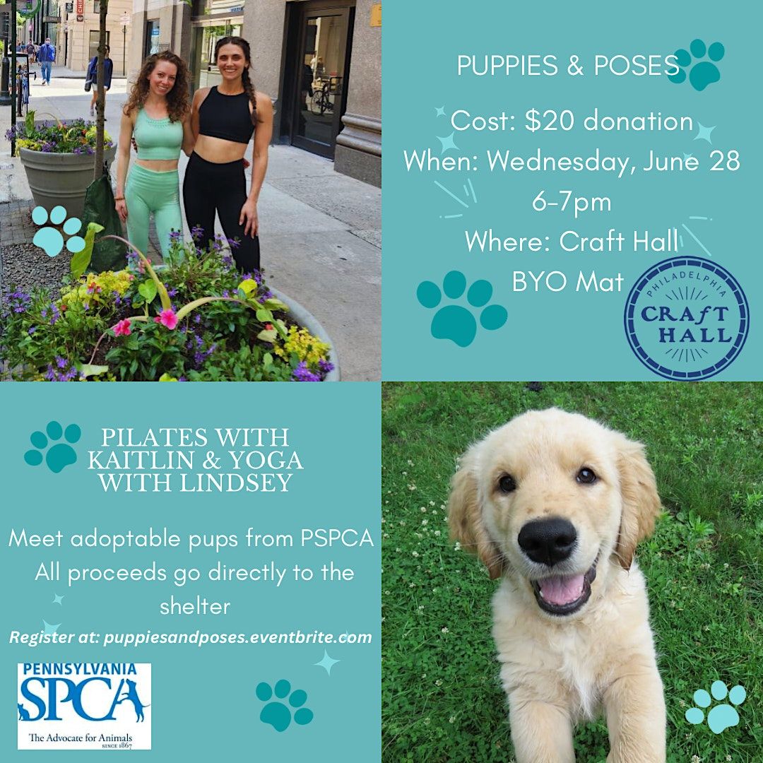 Puppies Poses June 28 Craft Hall Philadelphia 28 June 2023 puppies-poses-june-28-craft-hall-philadelphia-28-june-2023