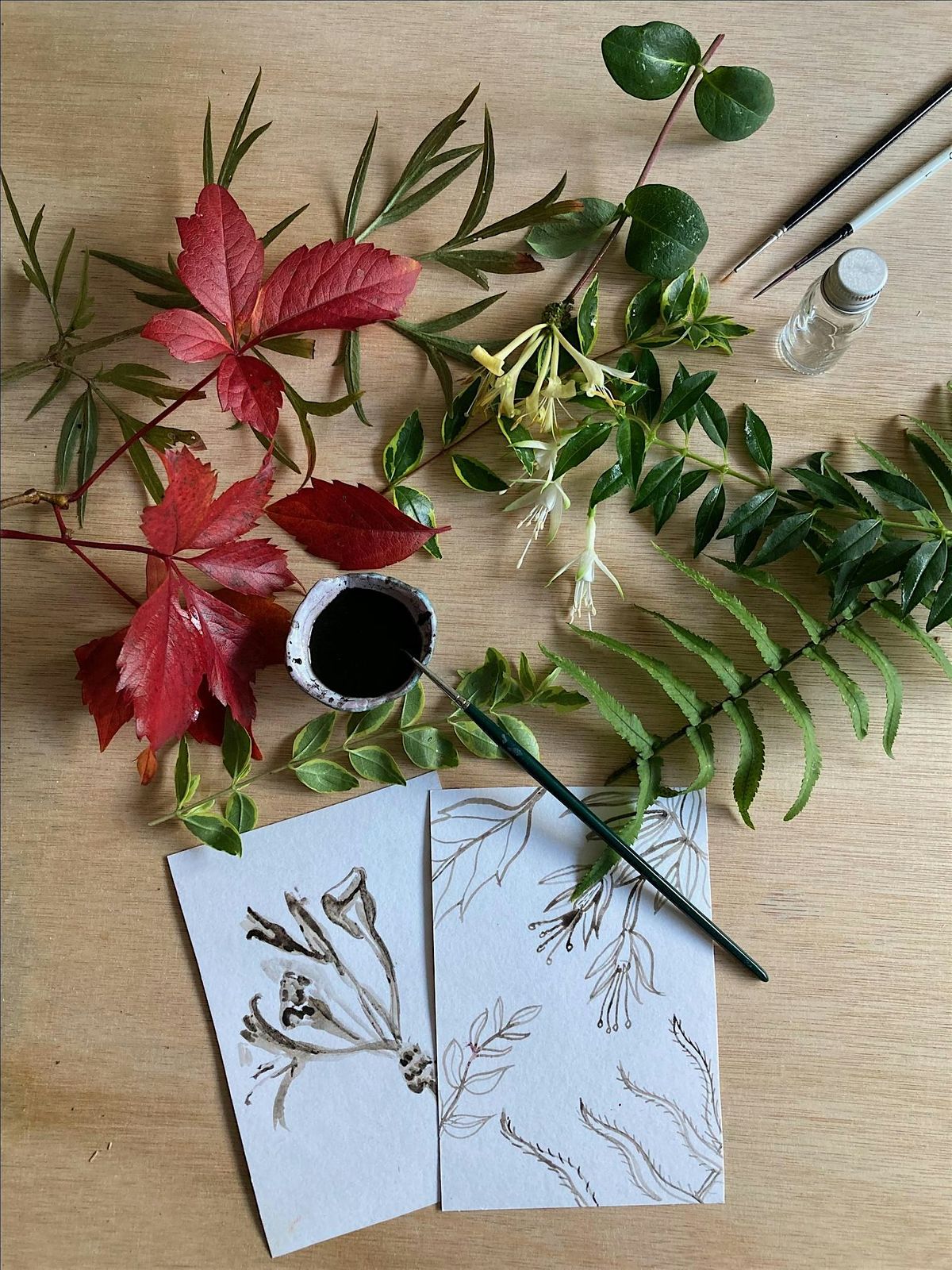 Oak Gall Ink Making, The Exchange, London, February 10 2024 AllEvents.in