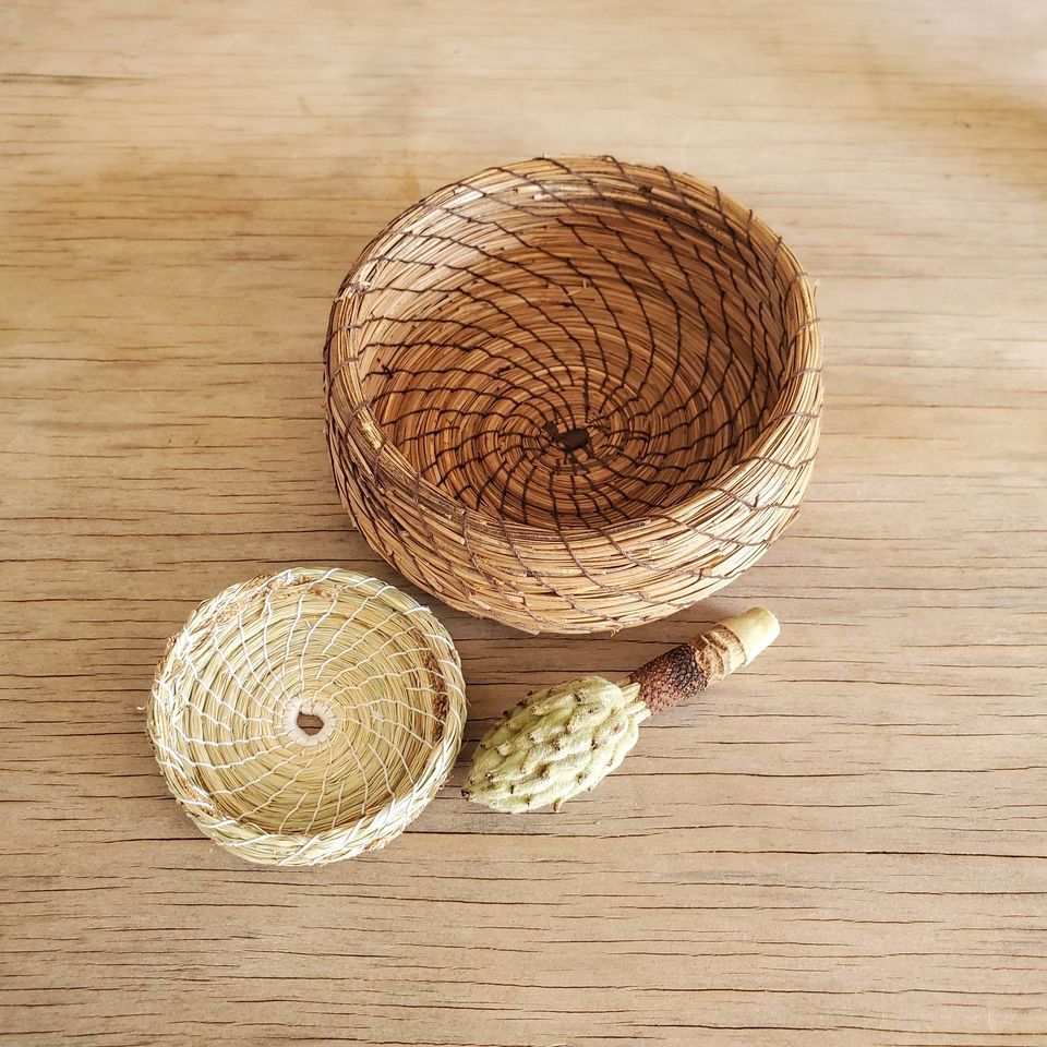 Foraged Fibres Coiled pine needle basket making, Wellington Botanic