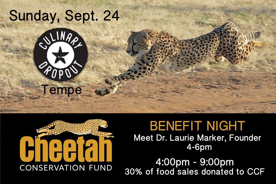 Benefit Night at the Culinary Dropout Restaurant Tempe, AZ, Culinary