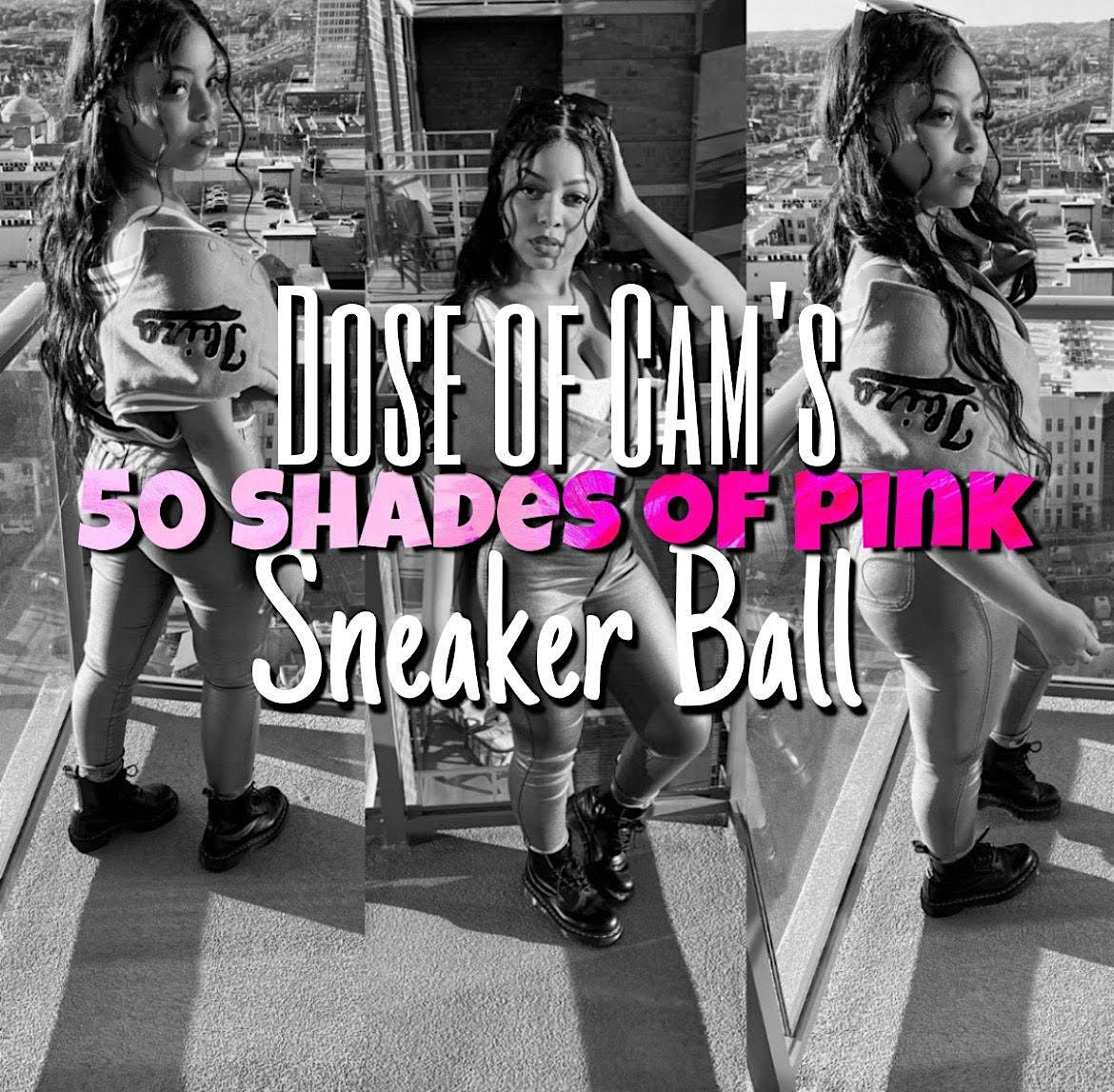 CAMS 50 SHADES OF PINK SNEAKER BALL, 8824 S Cicero Ave, Oak Lawn, 26